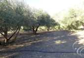 Country house with land for sale on España, Periana, ref: TR152740 photo