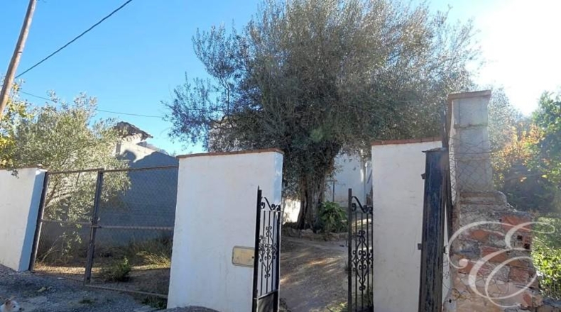 Málaga - Periana - 6000m2
