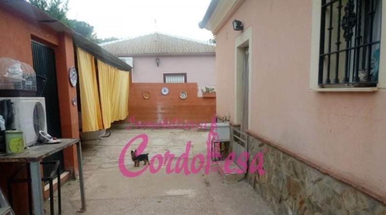 Córdoba - Córdoba - 1250m2