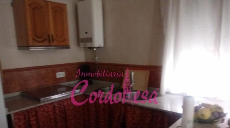 Córdoba - Córdoba - 1250m2