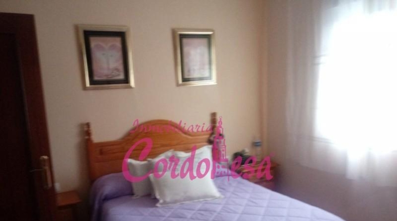 Córdoba - Córdoba - 1250m2