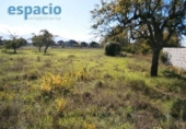 Non-developable land for sale on España, Cacabelos, ref: TR145903 photo