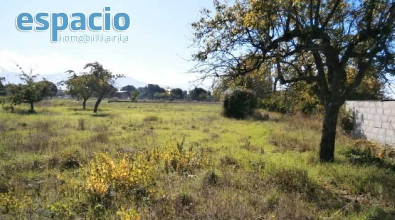León - Cacabelos - 10850m2