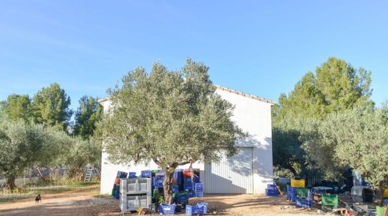 Alicante - Parcent - 3600m2