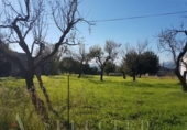 Suelo urbano en venta en la España, Campanet, ref: TR113150 foto