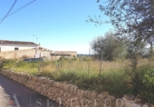Suelo urbano en venta en la España, Campanet, ref: TR113150 foto