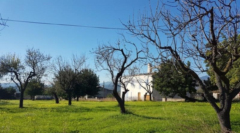 Balearic Islands - Campanet - 336m2