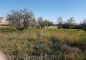 Suelo urbano en venta en la España, Campanet, ref: TR113150 foto