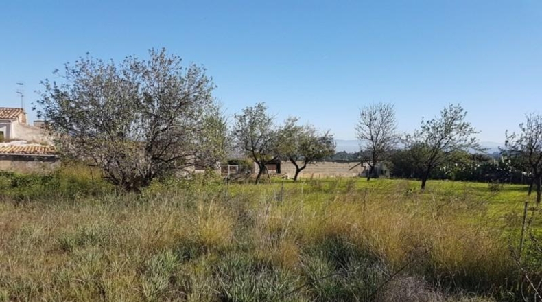 Balearic Islands - Campanet - 336m2