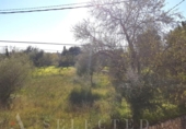 Suelo urbano en venta en la España, Campanet, ref: TR113150 foto