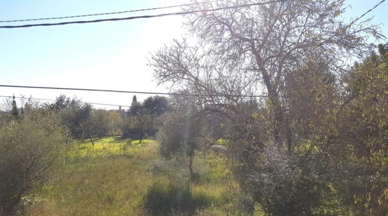 Balearic Islands - Campanet - 336m2