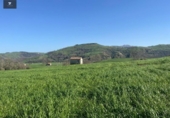 Rural estate for sale on España, Villacarriedo, ref: TR224825 photo