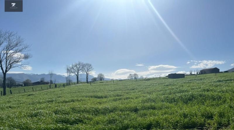 Cantabria - Villacarriedo - 22106m2