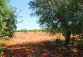 Terreno no urbanizable en venta en la España, Campos, ref: TR130149 foto