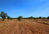 Terreno no urbanizable en venta en la España, Campos, ref: TR130149 foto