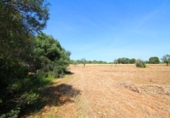 Terreno no urbanizable en venta en la España, Campos, ref: TR130149 foto