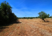 Terreno no urbanizable en venta en la España, Campos, ref: TR130149 foto