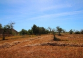Terreno no urbanizable en venta en la España, Campos, ref: TR130149 foto