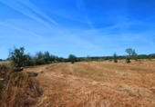 Terreno no urbanizable en venta en la España, Campos, ref: TR130149 foto