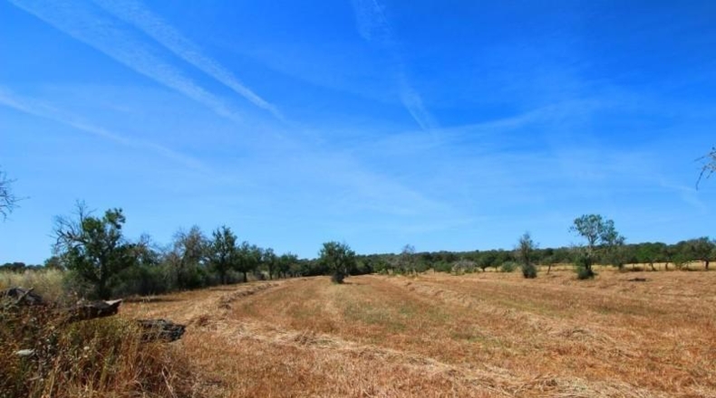 Balearic Islands - Campos - 15626m2