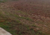 Suelo urbano en venta en la España, Coreses, ref: TR173040 foto