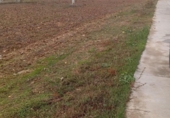 Suelo urbano en venta en la España, Coreses, ref: TR173040 foto