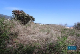 San Pedro de Breña Alta 1000&nbsp;m²
