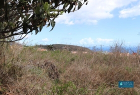San Pedro de Breña Alta 1000&nbsp;m²