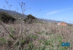 San Pedro de Breña Alta 1000&nbsp;m²