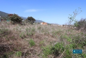 San Pedro de Breña Alta 1000&nbsp;m²