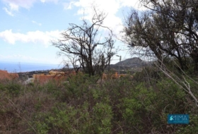San Pedro de Breña Alta 1000&nbsp;m²