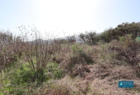 San Pedro de Breña Alta 1000&nbsp;m²