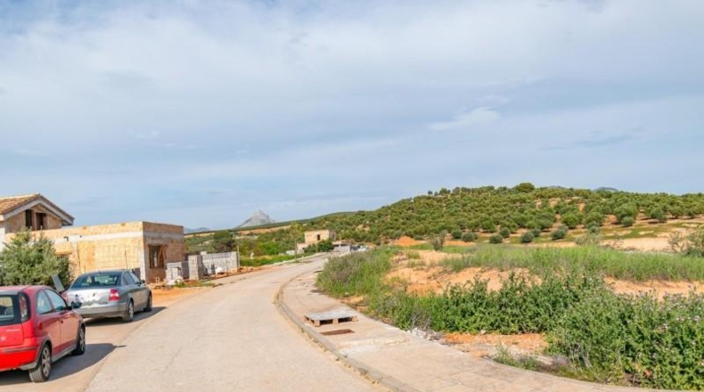 Granada - Albolote - 608m2