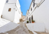 Detached villa with land for sale on España, Oliva, ref: TR401123 photo