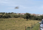 Non-developable land for sale on España, Fuente Obejuna, ref: TR410549 photo