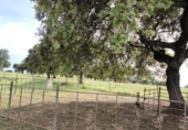 Non-developable land for sale on España, Fuente Obejuna, ref: TR410549 photo