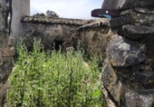 Non-developable land for sale on España, Fuente Obejuna, ref: TR410549 photo