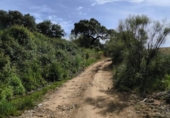 Non-developable land for sale on España, Fuente Obejuna, ref: TR410549 photo