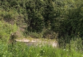 Non-developable land for sale on España, Fuente Obejuna, ref: TR410549 photo