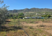 Xalet independent amb terreny en venda a la España, Huércal-Overa, ref.: TR402932 foto