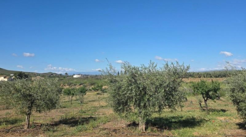 Almería - Huércal-Overa - 7000m2