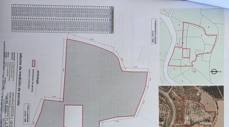 Almería - Huércal-Overa - 7000m2
