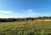 Detached villa with land for sale on España, Sineu, ref: TR218528 photo