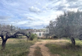 l'Ametlla de Mar 144380&nbsp;m²