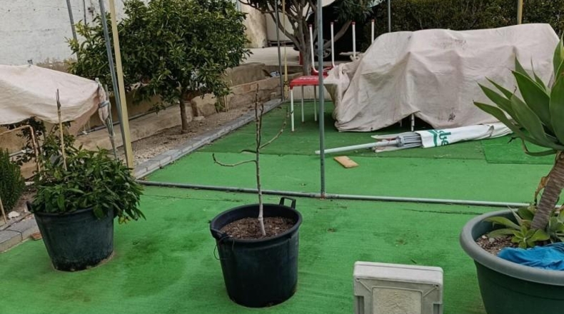 Murcia - Mula - 800m2