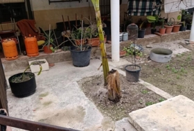 Foto 14