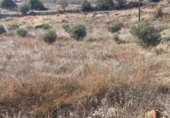 Suelo urbano en venta en la España, Massoteres, ref: TR126106 foto