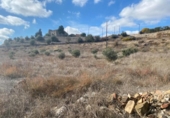 Suelo urbano en venta en la España, Massoteres, ref: TR126106 foto