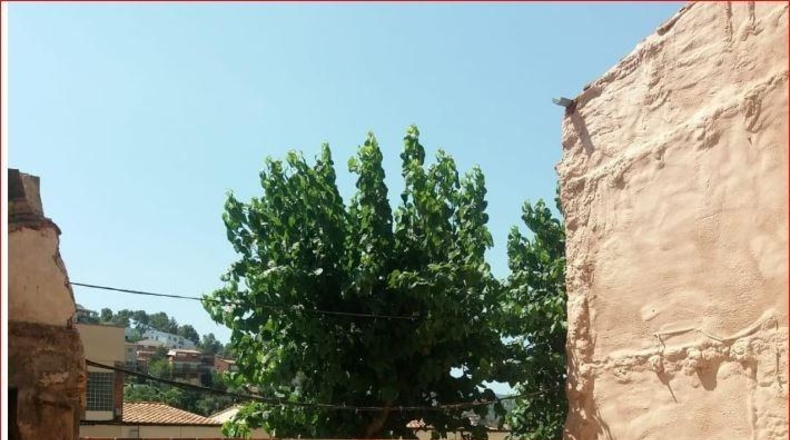 Barcelona - Cervelló - 239m2
