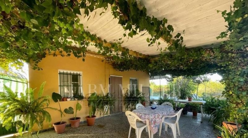 Alicante - Albatera - 14000m2